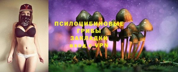 крисы Арсеньев