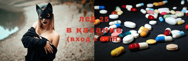 ПСИЛОЦИБИНОВЫЕ ГРИБЫ Аркадак