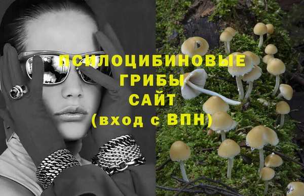 ПСИЛОЦИБИНОВЫЕ ГРИБЫ Аркадак