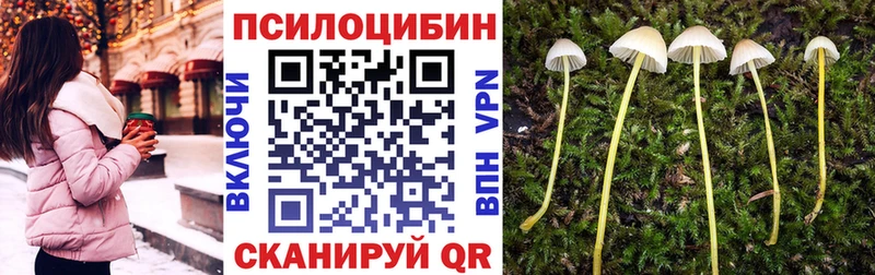 omg зеркало Саки Псилоцибиновые грибы MAGIC MUSHROOMS